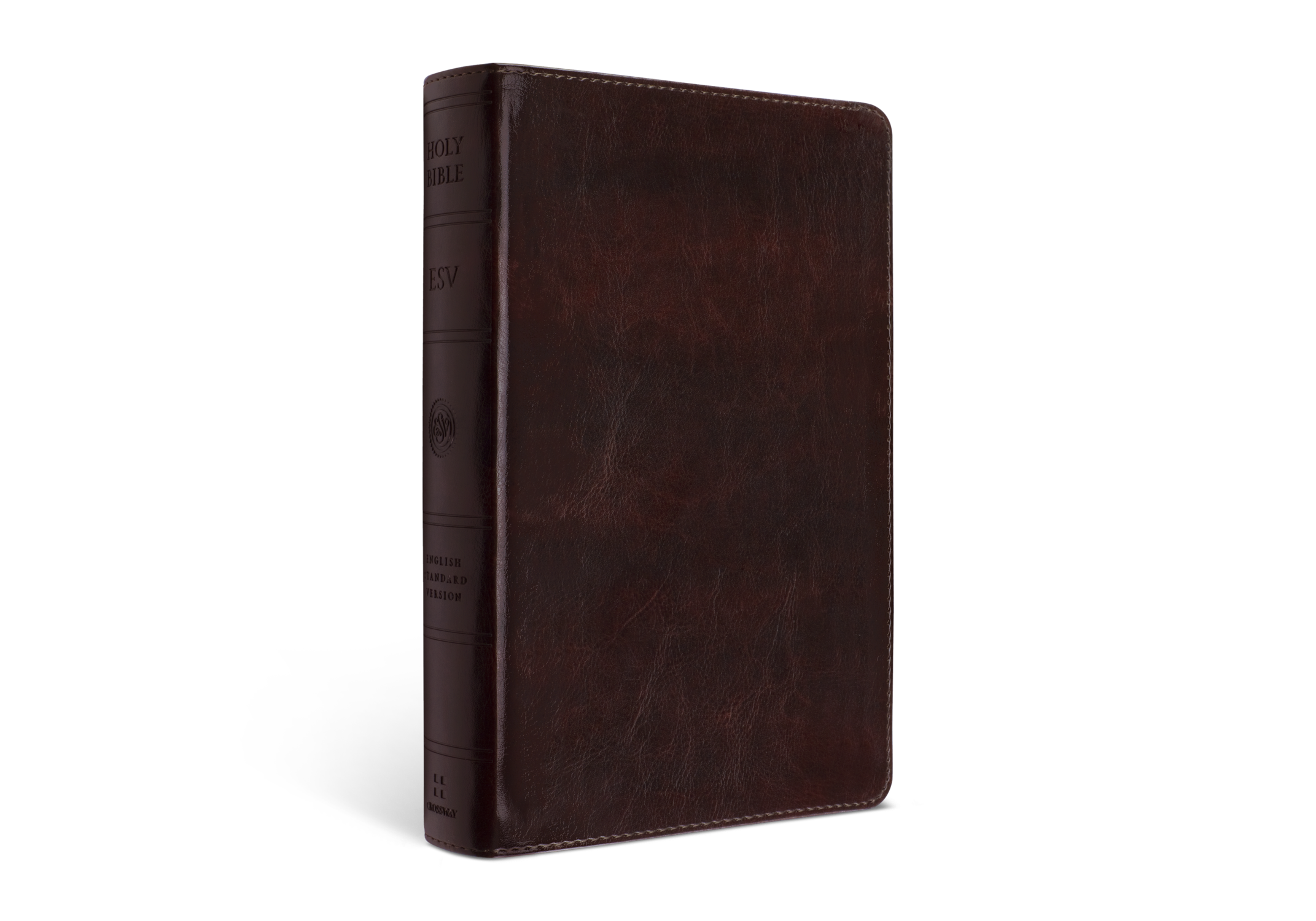ESV Large Print Bible