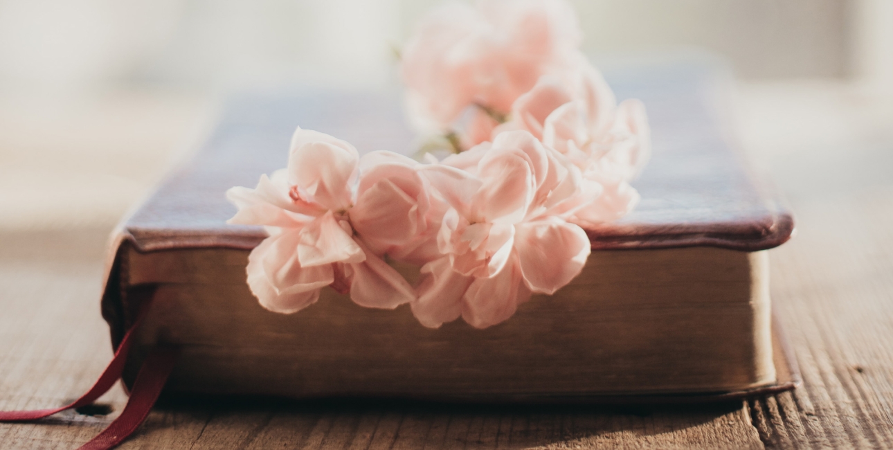 Bibel med blomst. Foto: Unsplash.