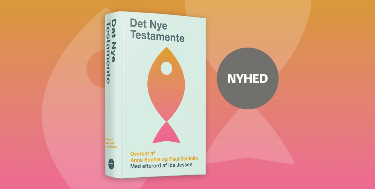 Det Nye Testamente - Seidelin