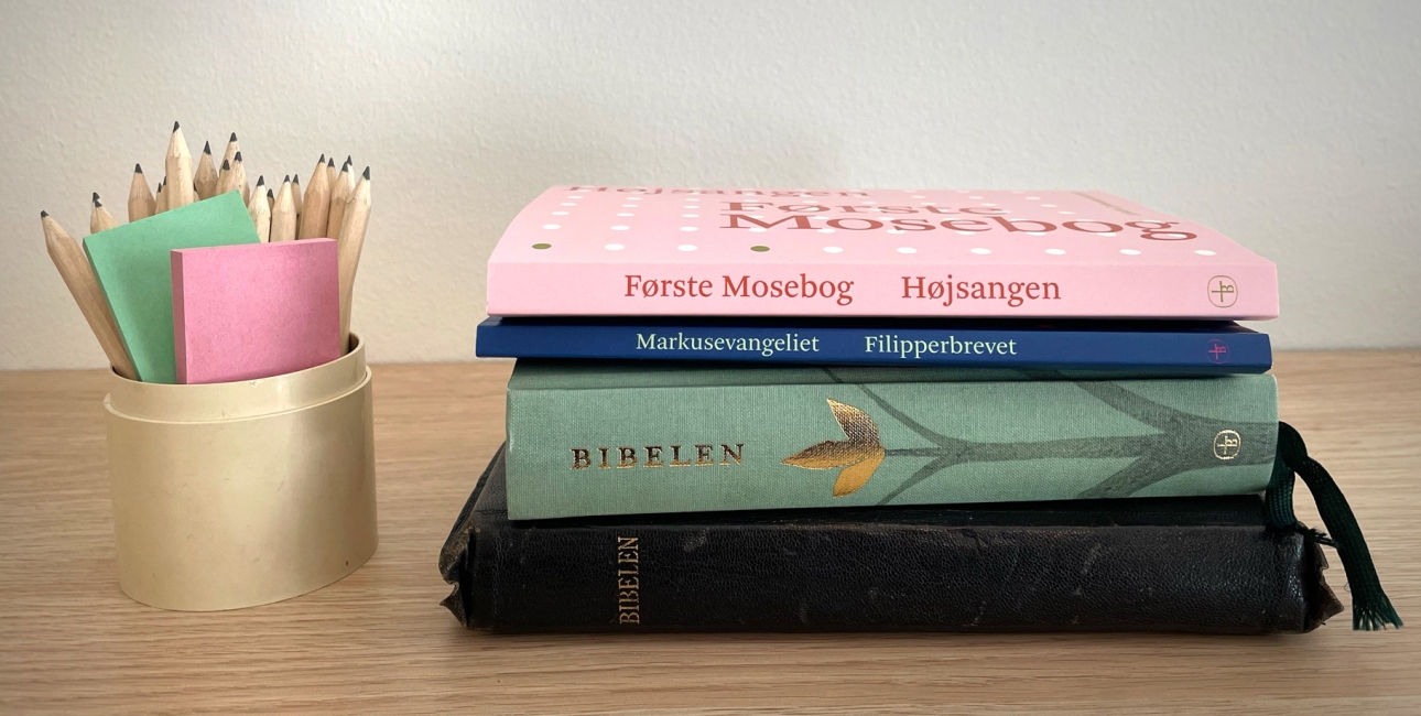 Bibeloversættelsesworkshop