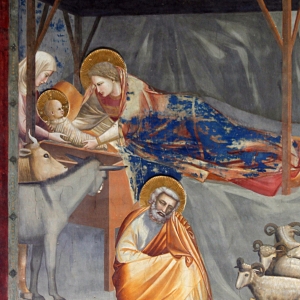 Jesus' fødsel Fresco af Giotto fra Scrovegni-kapellet.