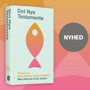 Det Nye Testamente - Seidelin