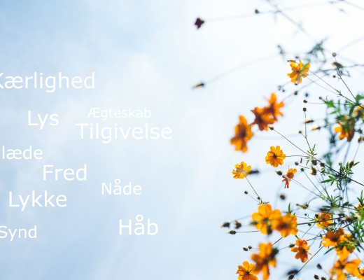 Top 10 søgeord i 2019. Foto: Masaaki Komori / Unsplash