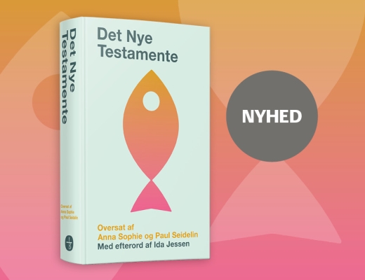 Det Nye Testamente - Seidelin