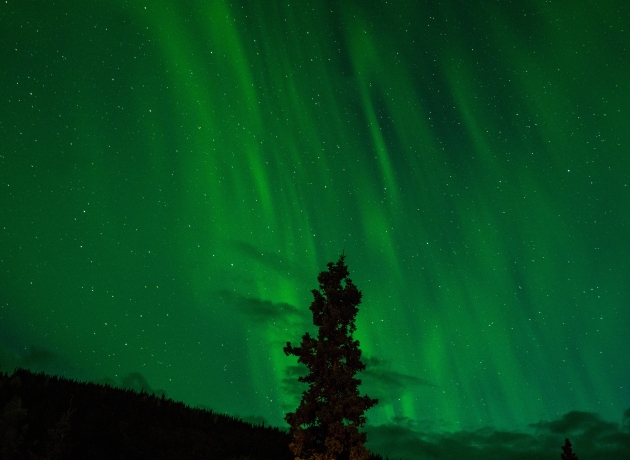 Den engelske originaltitel på Det gyldne kompas er Northern Lights - nordlys. Foto: Pixabay.