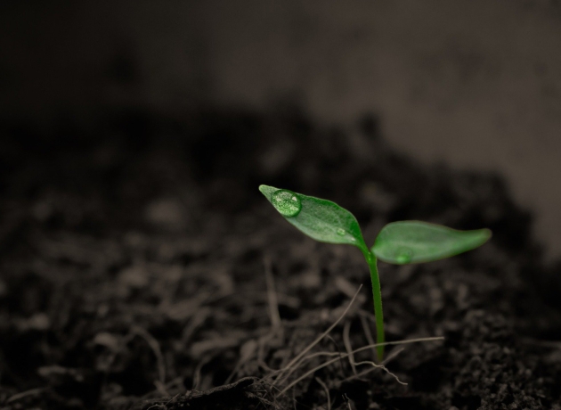 Spire. Foto: Pixabay.