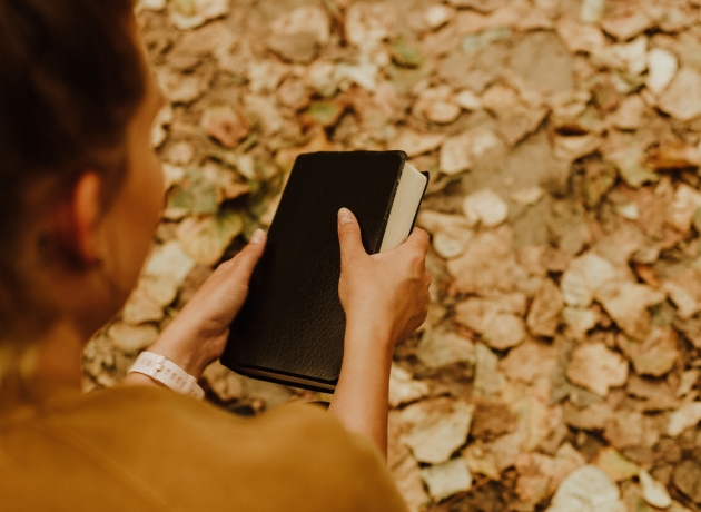 Bøn - bede - hænder. Foto: Unsplash.