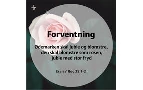 Fakta: Esajas' Bog 35,1-2