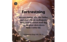 Fakta: Salmernes Bog 145,14-15