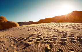 Ørken, Sinai. Foto: Dudarev Mikhail/Shutterstock.com