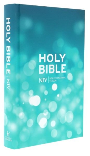 Holy Bible NIV*