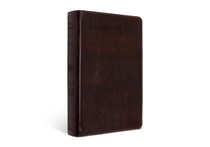 ESV Large Print Bible