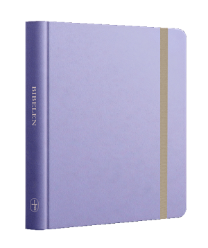lavendel